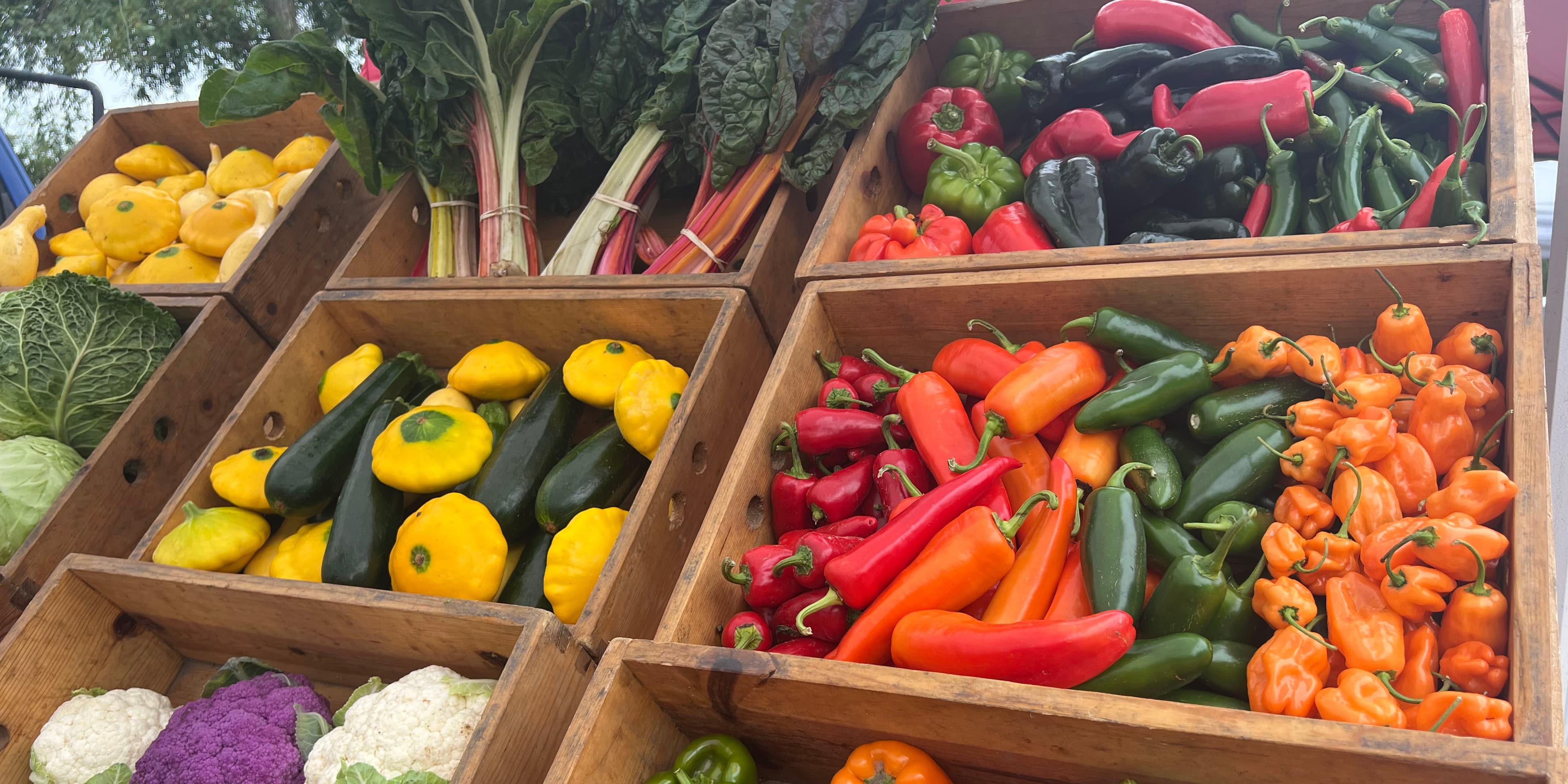 Northport Farmers Market