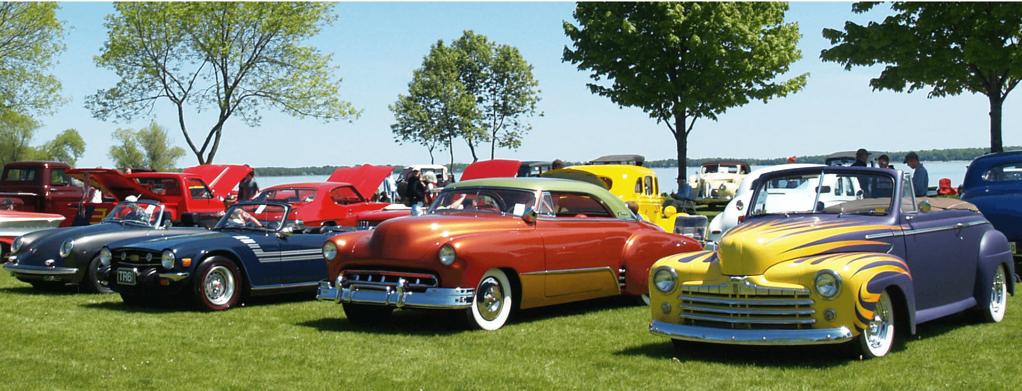 Cars in the Park