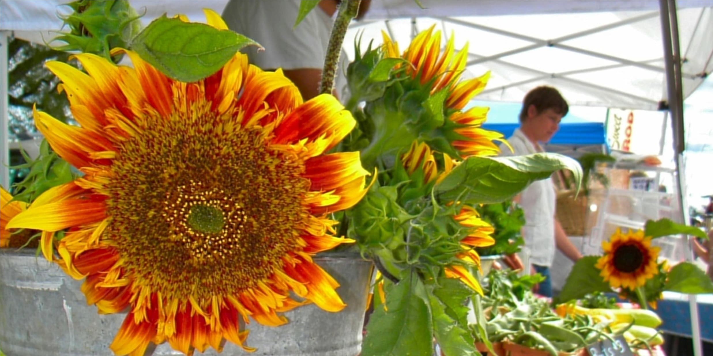 Northport Farmers Market