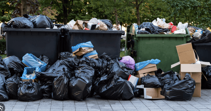 HH Cherries M22 Trash Pickup through Omena