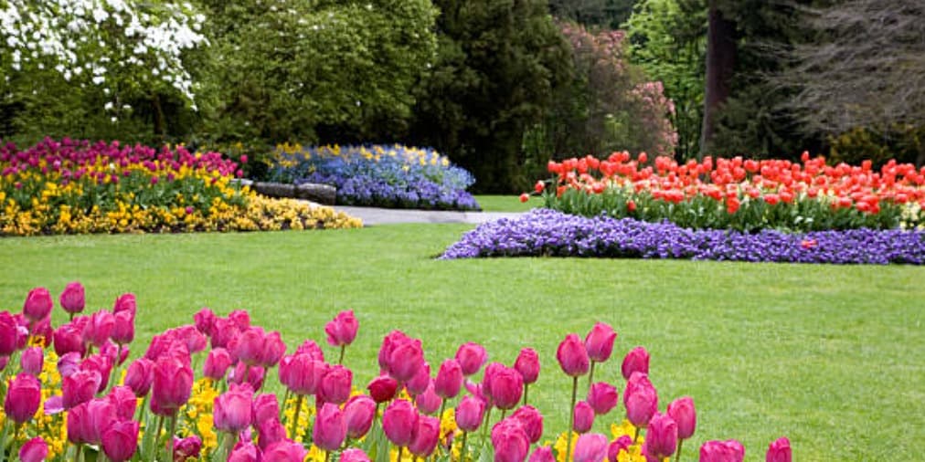 Little Garden Club Garden Tour