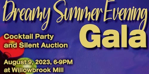 Dreamy Summer Evening Gala