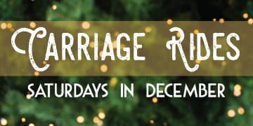 Horse-drawn Carriage Rides